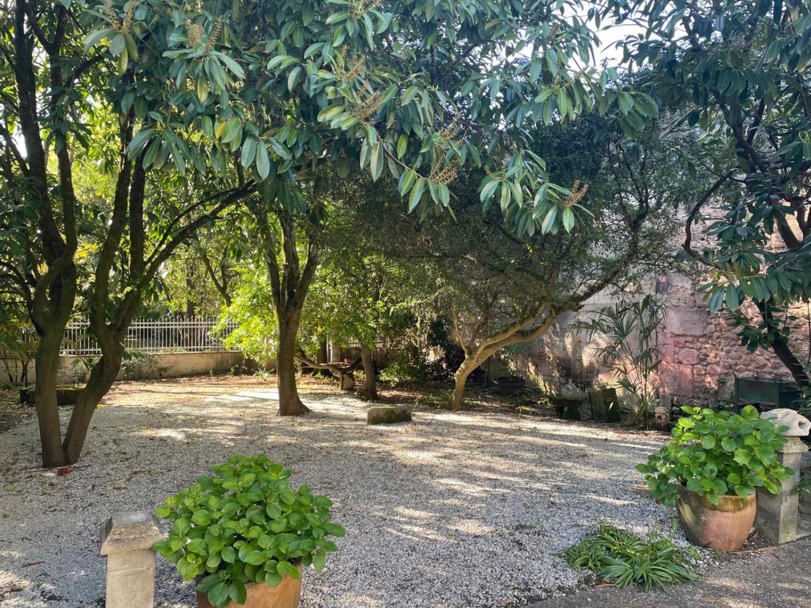Ferienwohnung Annexe Du Pont De La Charente Châteauneuf-sur-Charente Exterior foto